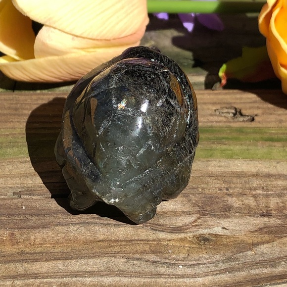 Labradorite Crystal Turtle - Picture 3 of 16